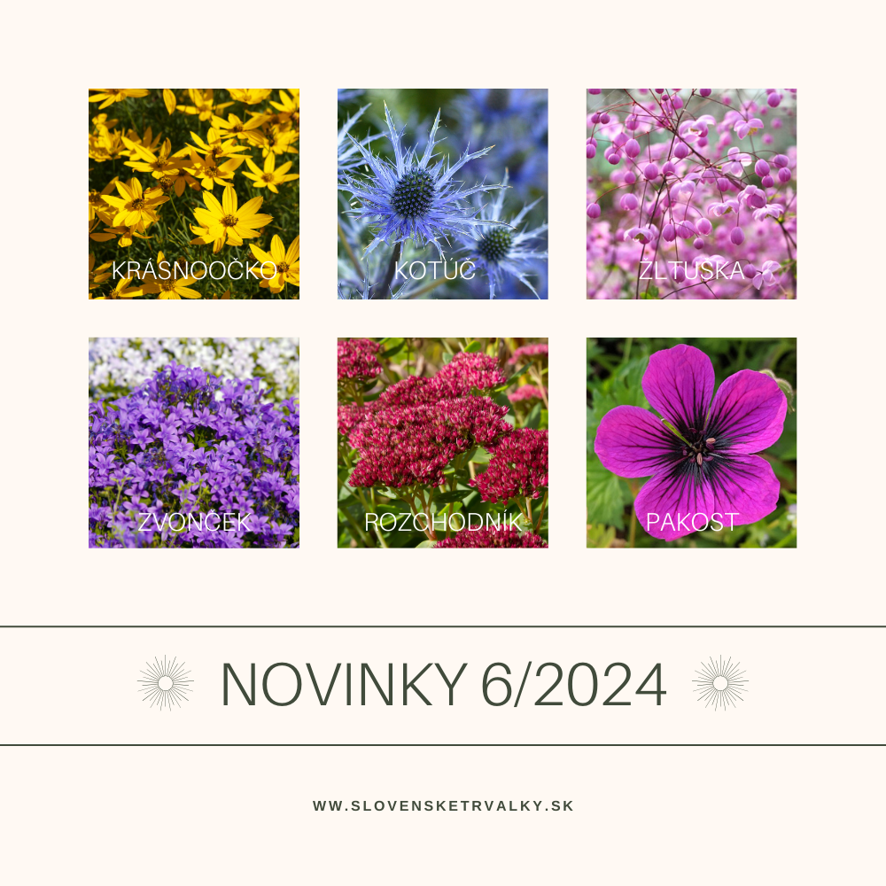 novinky novinky